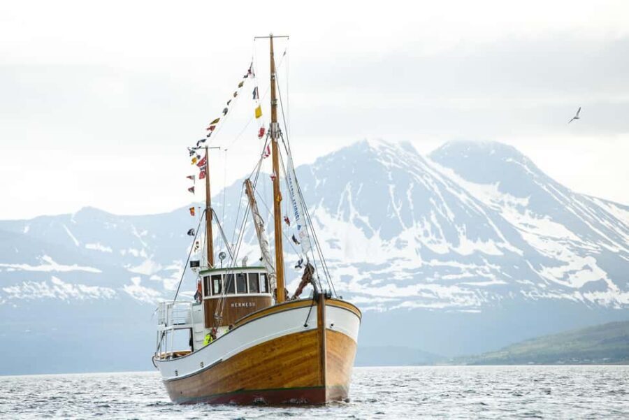 Tromsø: Fjord Fishing Cruise - Food that turns a catch into a memory