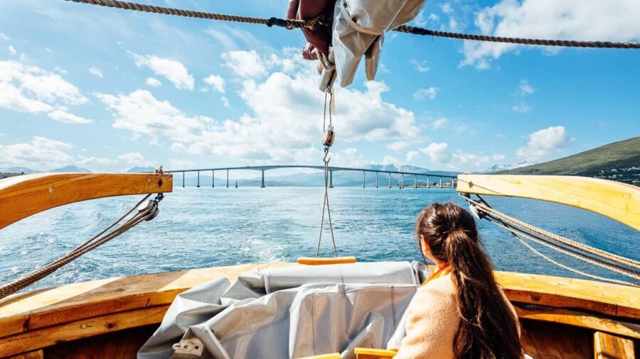 Tromsø: Fjord Fishing Cruise - Price and value: what $185 buys you here