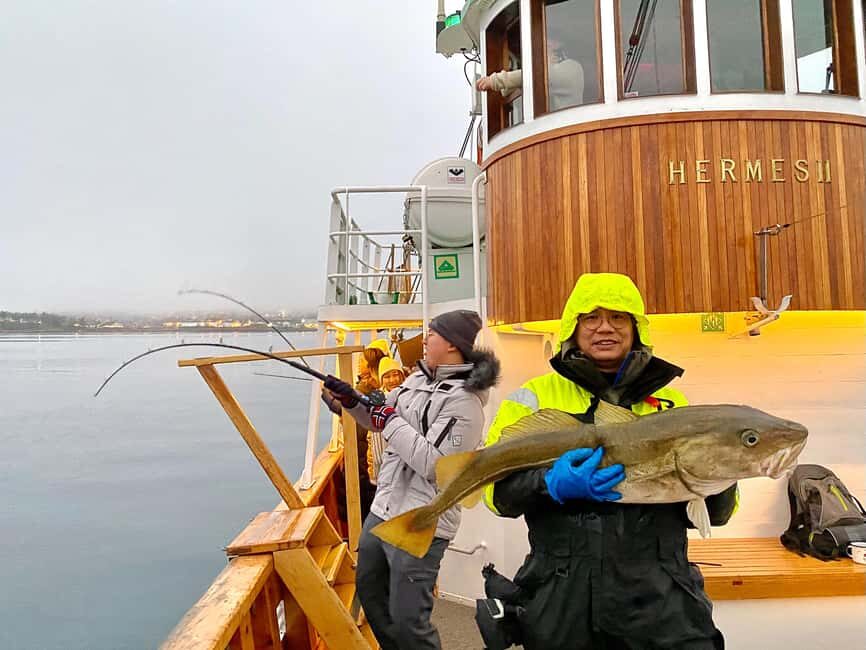 Tromsø: Fjord Fishing Cruise - The 4.5-hour rhythm: cruise, fish, and eat