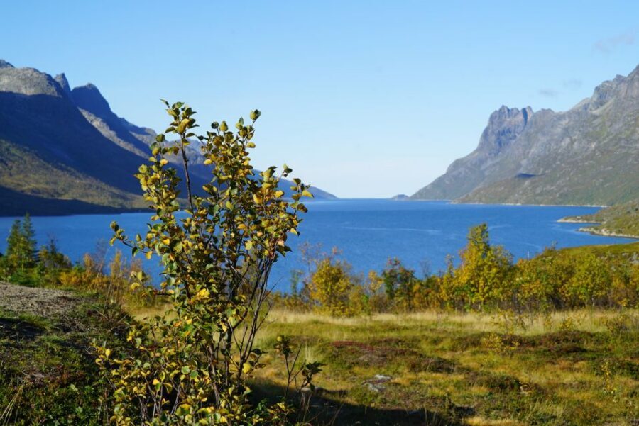 Tromsø: Fjord Sightseeing in a Tesla X Luxury Electric Car - Key takeaways before you go