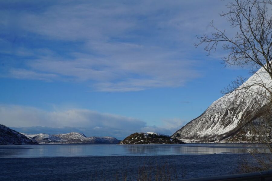 Tromsø: Fjord Sightseeing in a Tesla X Luxury Electric Car - Who this fjord car tour suits best