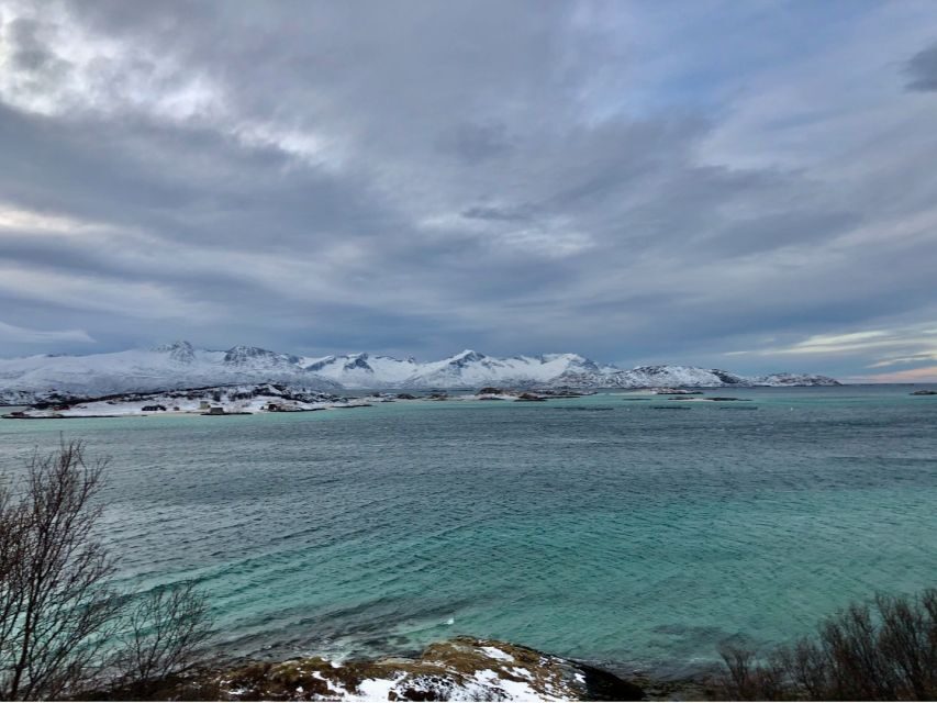 Tromsø: Fjords and Sommarøy Islands Tour with Salmon Picnic - The Salmon Beach Picnic: Tasting More Than a Meal