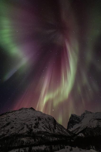 Tromsø: Fjords & Beaches Tour with Campfire and Arctic Food - Who this tour is best for (and who should skip it)