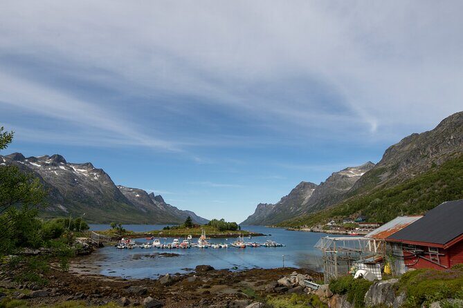 Tromso fjords road trip with fire in grill cabin by the beach. - The guide and group size: the difference between seeing and understanding