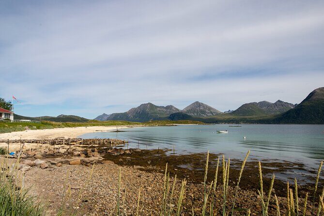 Tromso fjords road trip with fire in grill cabin by the beach. - Who this tour suits best