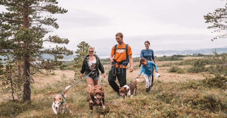 Tromsø: Husky Hike and Puppy Visit with Traditional Lunch - Husky power on fjord-and-mountain terrain (and what it feels like)