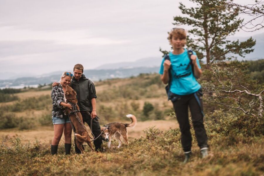 Tromsø: Husky Hike and Puppy Visit with Traditional Lunch - Puppy enclosure time: why this part hits so hard
