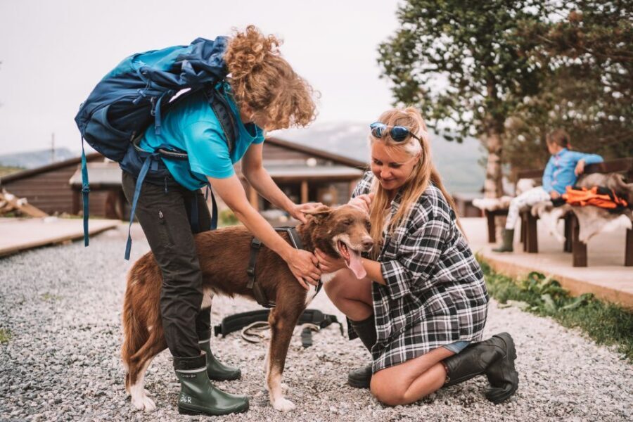 Tromsø: Husky Hike and Puppy Visit with Traditional Lunch - Price and value: is $146 per person worth it?