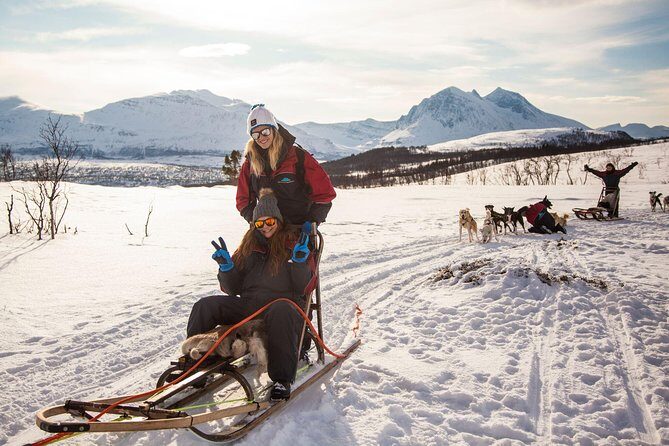 Tromso Husky Self-Drive Sledding with Cake and Drink in Lavvu - Pickup in Tromsø and the part that actually matters: staying warm