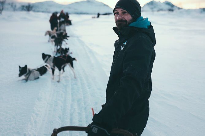 Tromso Husky Self-Drive Sledding with Cake and Drink in Lavvu - On the Arctic trail: 70–80 minutes, hills, and how fast is too fast
