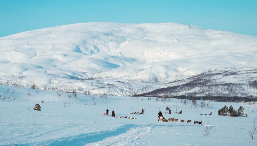 Tromsø: Husky Sled Self-Drive with Traditional Lunch - Tromsø Villmarkssenter Setup: Gear Up and Learn the Rules Fast