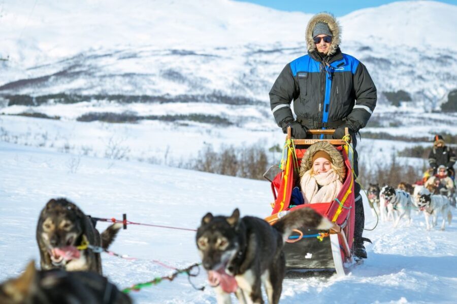 Tromsø: Husky Sled Self-Drive with Traditional Lunch - The Self-Drive Portion: Commands, Shared Sleds, and a Halfway Swap