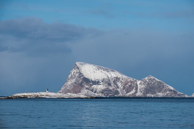 Tromsø: Kvaløya & Sommarøy Guided Fjord Tour with Lunch - Stop at Sommarøy: Hikes, Views, and the Wildlife-Spotting Bonus