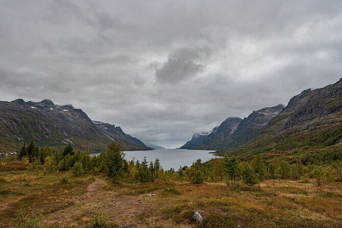 Tromsø: Kvaløya & Sommarøy Guided Fjord Tour with Lunch - Lunch and Warm Drinks: Cozy Fuel for a Long Cold Day