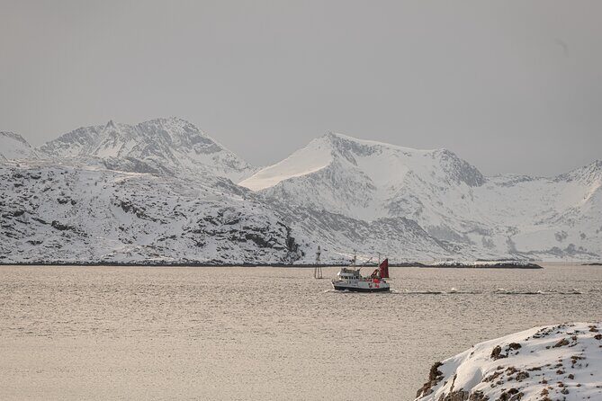 Tromsø: Kvaløya & Sommarøy Guided Fjord Tour with Lunch - Guides and Commentary Style: Friendly, Professional, and Stop-Focused
