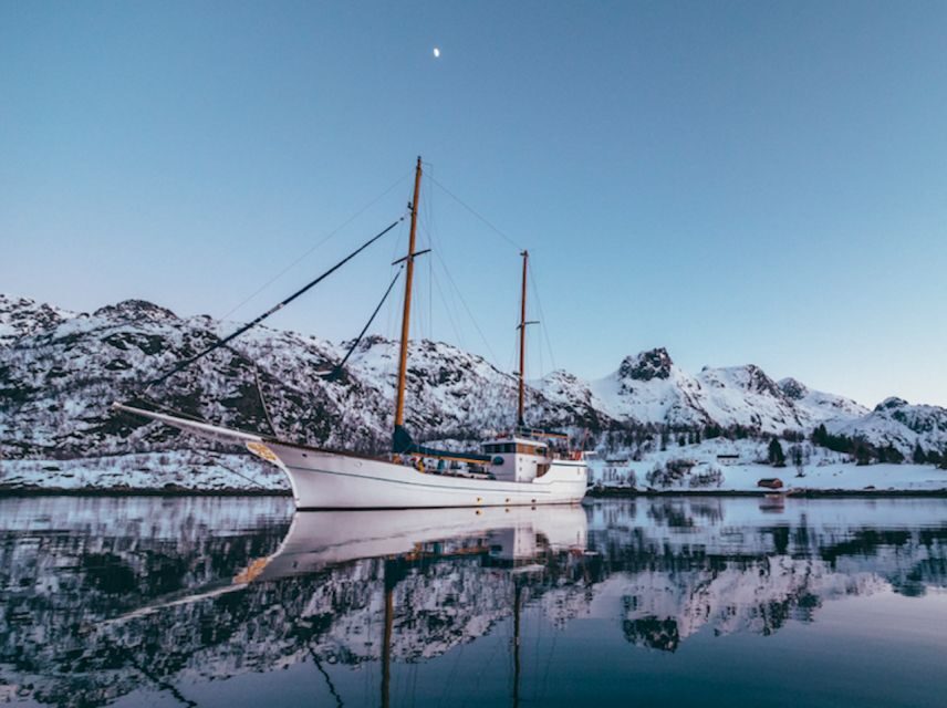 Tromso: Luxury Northern Lights Cruise with Hot Tub & Dinner - Who This Cruise Is For (and Who Should Rethink It)