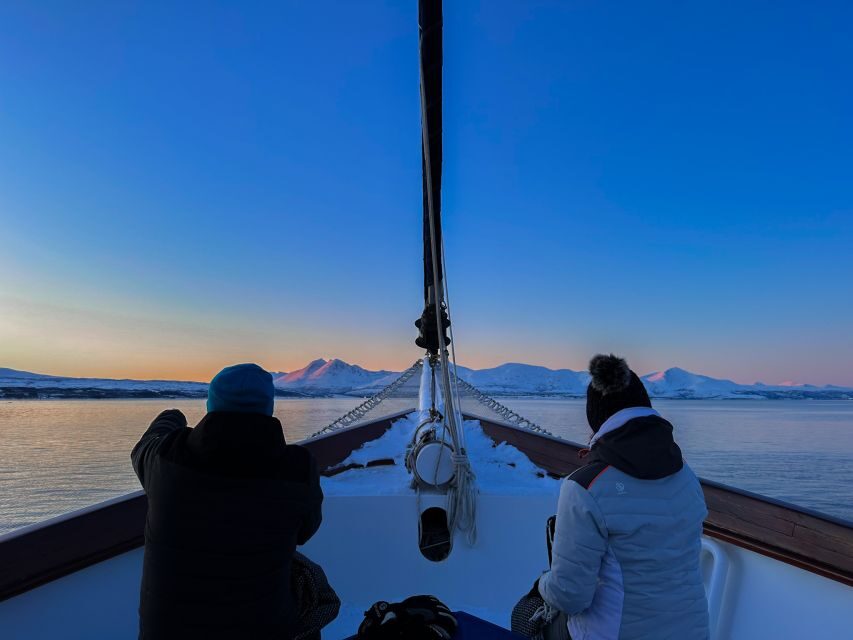 Tromsø: Luxury Polar Fjord Cruise w/ Hot Tub & Polar Plunge - Step Aboard Stella Oceana at the Tromsø Marina