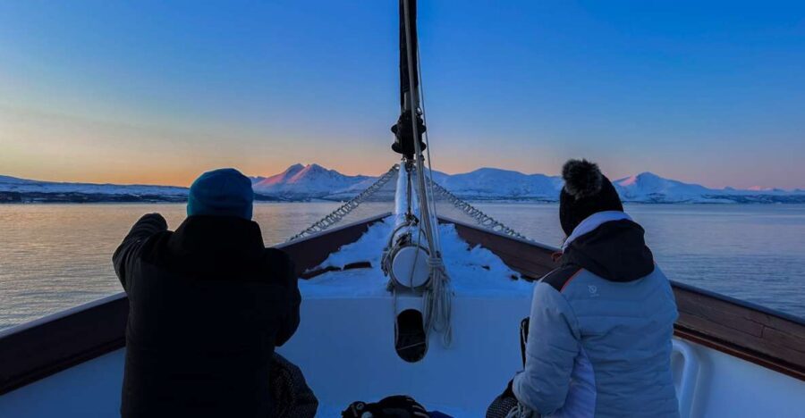 Tromsø: Luxury Polar Fjord Cruise w/ Hot Tub & Polar Plunge - Heated Saloon + Two Decks: Real Comfort in Arctic Light