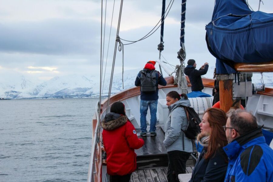 Tromsø: Luxury Polar Fjord Cruise w/ Hot Tub & Polar Plunge - Wildlife Spotting in Winter: How to Get Better Than Random Looking
