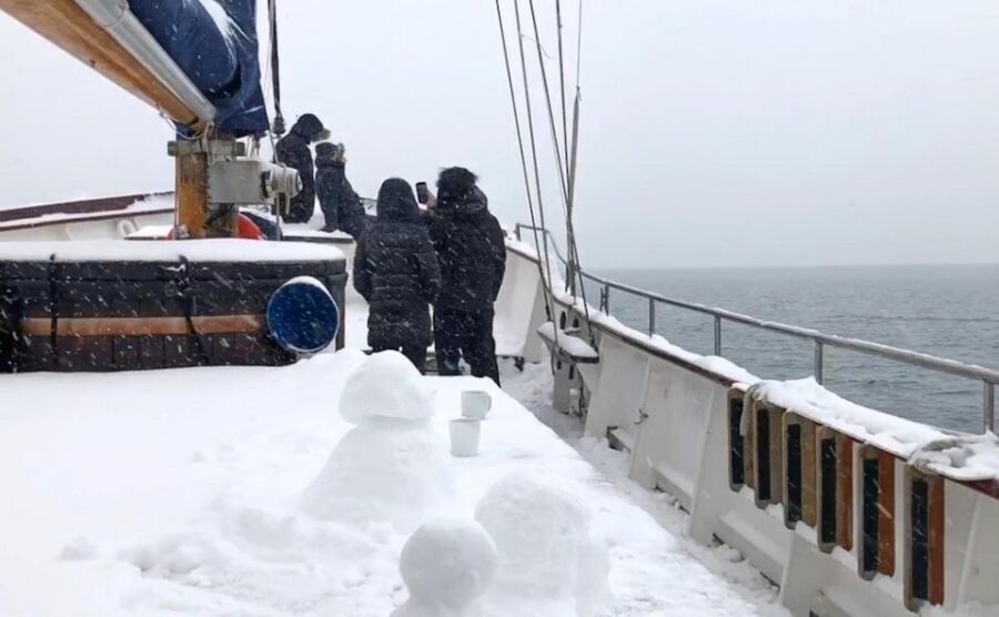 Tromsø: Luxury Polar Fjord Cruise w/ Hot Tub & Polar Plunge - Price, Value, and Why This Costs More Than a Basic Boat Tour