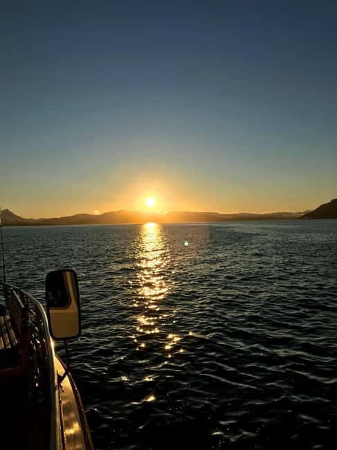 Tromsø: Midnight Sightseeing Cruise All-Inclusive - Key things that make this cruise worth your evening