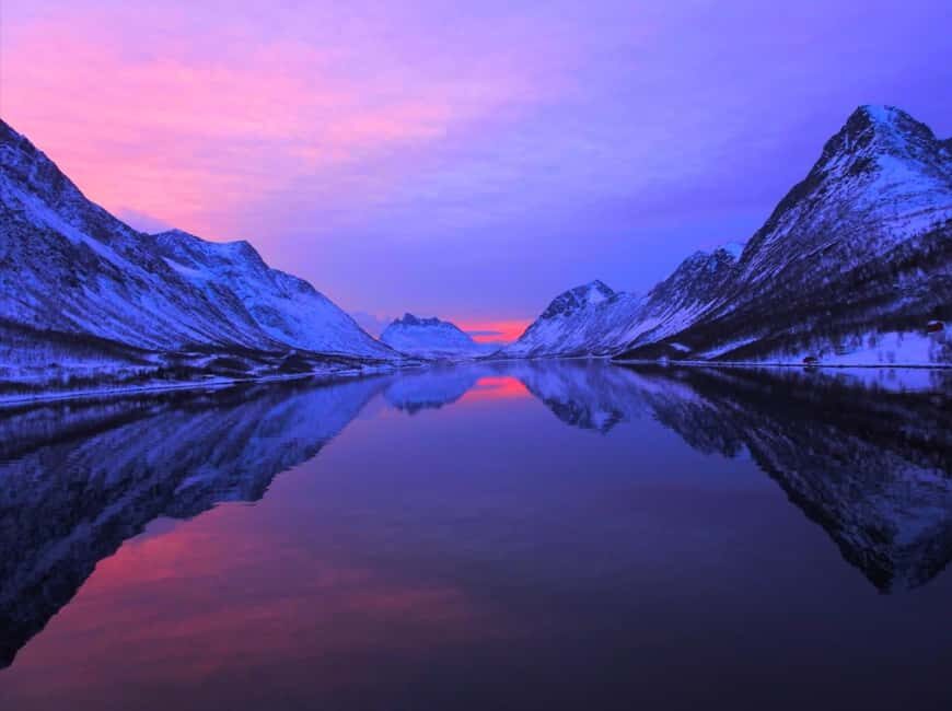 Tromsø: Midnight Sightseeing Cruise All-Inclusive - Midnight Sun fjord views from Tromsø’s water at 8:00 pm