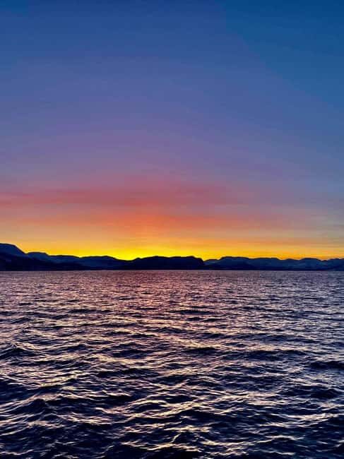 Tromsø: Midnight Sightseeing Cruise All-inclusive - Price and value: is $147 per person fair for 3 hours?