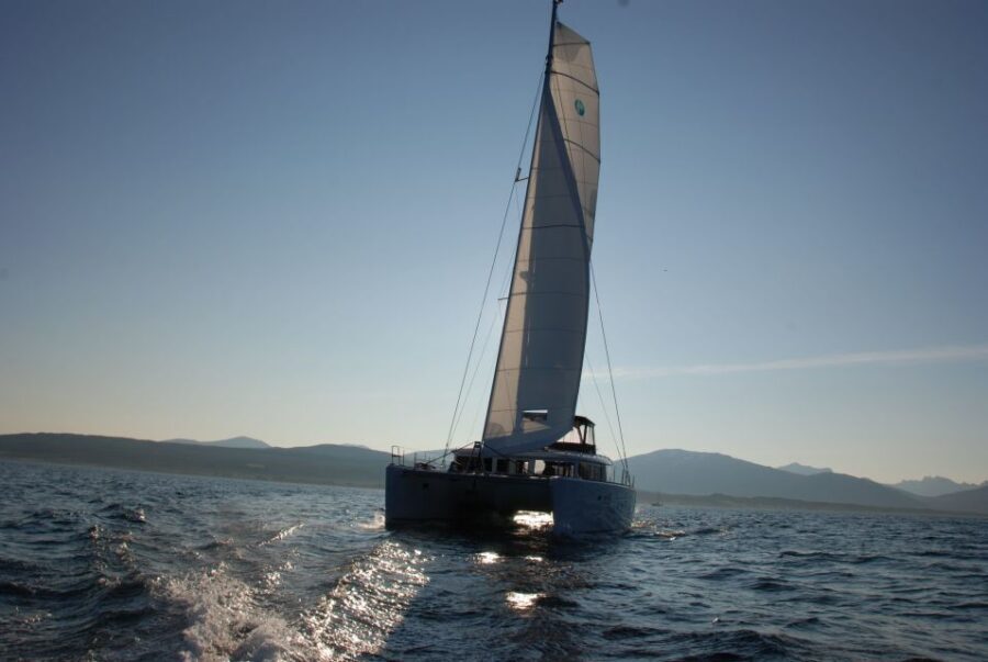 Tromsø: Midnight Sun Cruise in a Luxury Catamaran - Why a Tromsø midnight sun cruise on a Lagoon 450 hits different