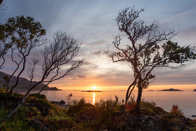 Tromsø: Midnight Sun with Campfire with Wandering Owl - Practical stuff that can trip you up (and how to handle it)