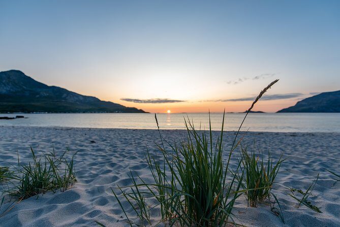 Tromsø: Midnight Sun with Campfire with Wandering Owl - Value and price: is $150.07 per person worth it?