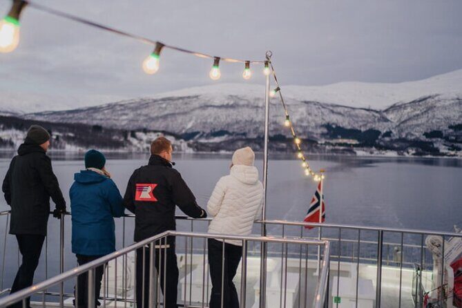 Tromsø, Northern Lights and Wilderness Evening Catamaran Cruise - Weather, clouds, and city light: the real difference between a great and a flat night