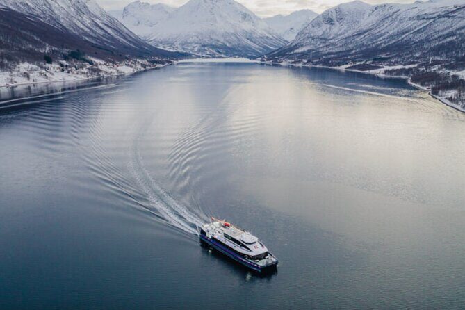 Tromsø, Northern Lights and Wilderness Evening Catamaran Cruise - Who should book this Tromsø Northern Lights catamaran?