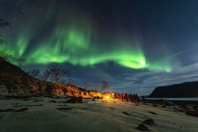 Tromsø: Northern Lights by Minibus - Free Photos and Warm Dinner - Key points to know before you go