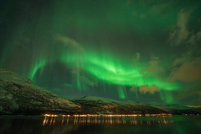 Tromsø: Northern Lights by Minibus - Free Photos and Warm Dinner - Price and value: what $237.43 is really buying you