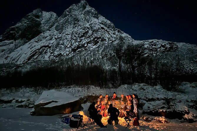 Tromsø: Northern Lights by Minibus - Free Photos and Warm Dinner - Who this tour fits best (and who should plan a backup night)