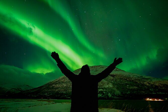 Tromsø: Northern Lights by Minibus - Free Photos and Warm Dinner - Arctic cold comfort: warm overalls, head lamps, and tripod support