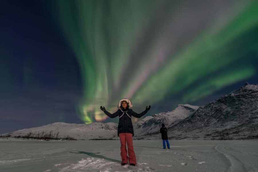Tromsø: Northern Lights Chase by a comfortable bus - Who this tour fits best (and who should skip it)