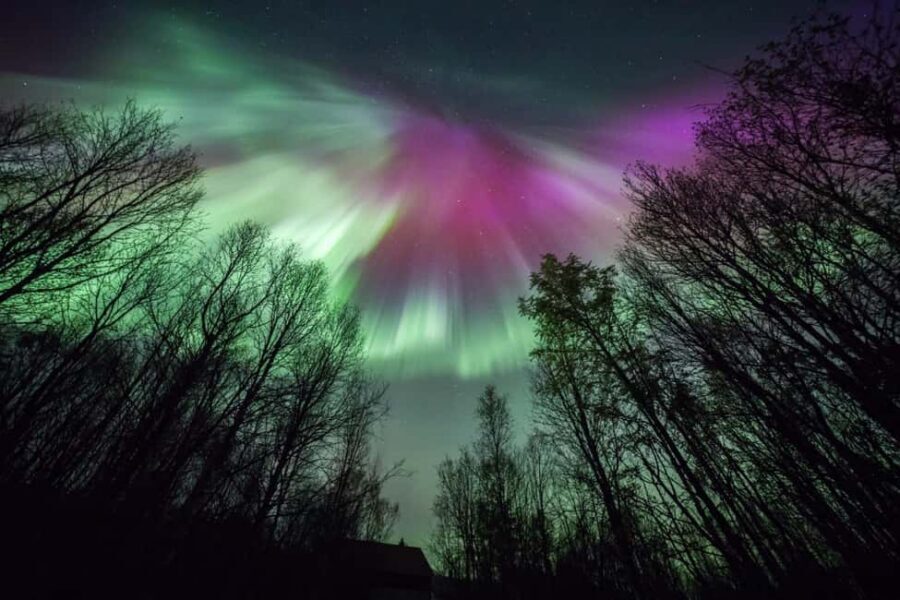 Tromsø: Northern Lights Chase + Free Professional Photos - Price and Value: Is $196 Worth It in Tromsø?
