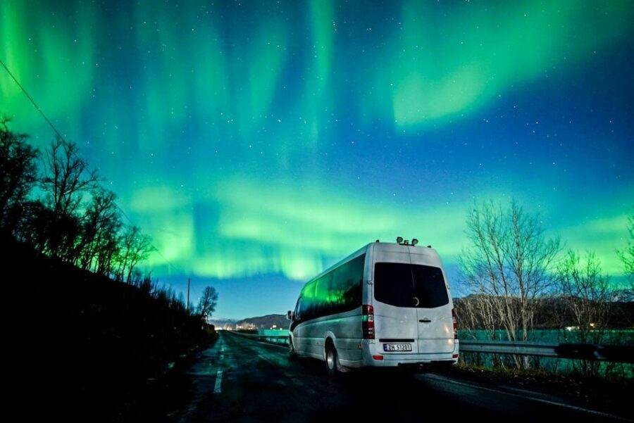 Tromsø: Northern Lights Chase Minibus Tour - Key things to know before you go