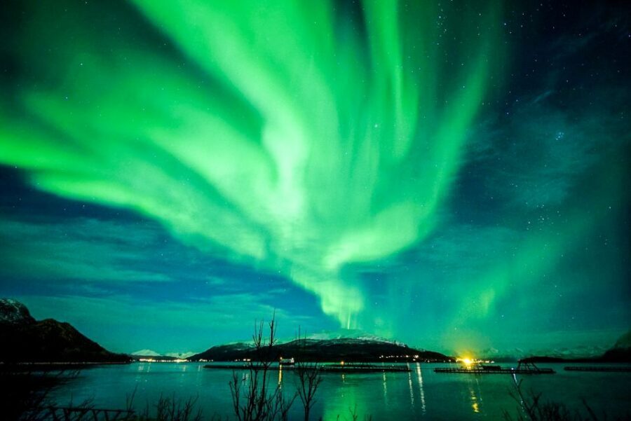 Tromsø: Northern Lights Chase Minibus Tour - Northern Lights photography help that actually helps