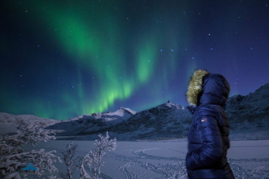 Tromso: Northern Lights Chase with Photo Package Included - What the Night Feels Like: Warm Drinks, Bus Proximity, and Layers