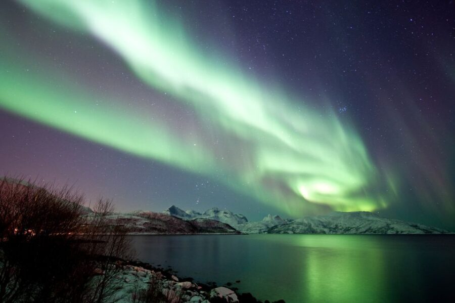 Tromsø: Northern Lights Cruise with 2nd Chance Guarantee - Key Points You’ll Actually Care About