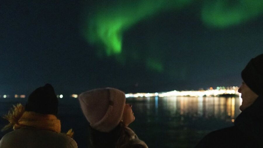 Tromsø: Northern Lights Cruise with 2nd Chance Guarantee - Food, Drinks, and Staying Comfortable Through the Wait