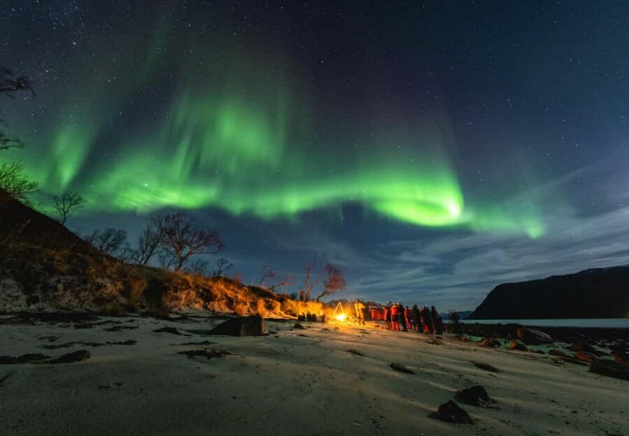 Tromsø: Northern Lights Focus Tour, German/English, minibus, meal - Why This Tromsø Aurora Hunt Feels Different