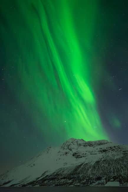 Tromsø: Northern Lights Focus Tour, German/English, minibus, meal - Minibus Comfort and Winter-Proven Drivers