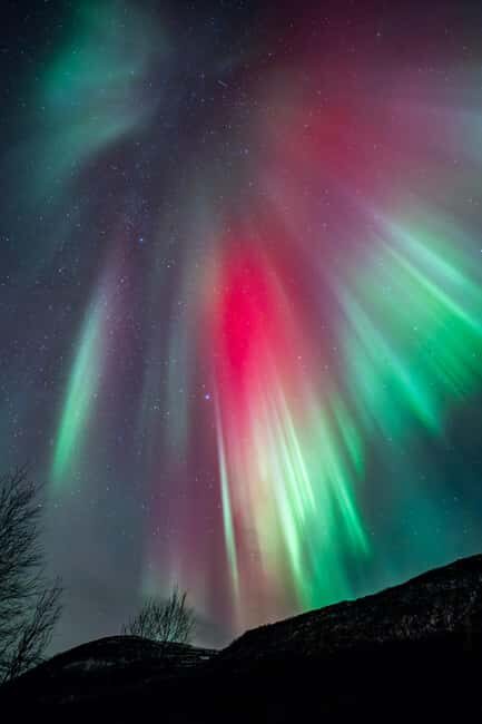 Tromsø: Northern Lights Focus Tour, German/English, minibus, meal - Toilet Reality: Plan for Nature’s Timing