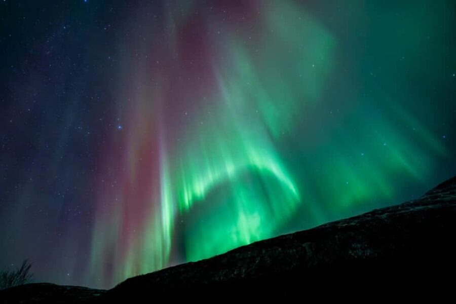 Tromsø: Northern Lights Focus Tour, German/English, minibus, meal - The Campfire Meal: More Than Just Food
