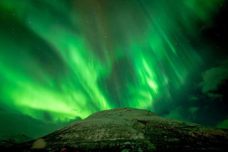 Tromsø: Northern Lights Focus Tour, German/English, minibus, meal - Price and Value: What $215 Covers (and Why It’s Fair)