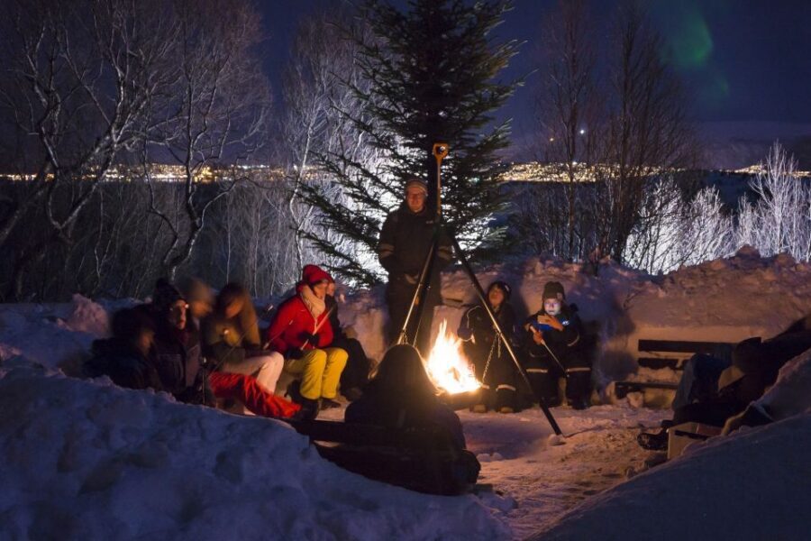 Tromsø: Northern Lights Husky Visit with Traditional Dinner - Why this Tromsø husky dinner beats a rushed aurora tour