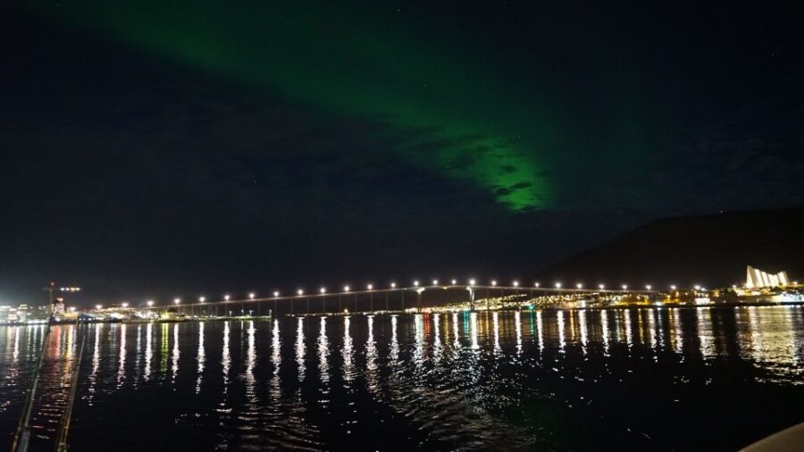 Tromsø: Northern Lights Luxury Catamaran Cruise - Fish soup on the way back: a local touch that feels worth it